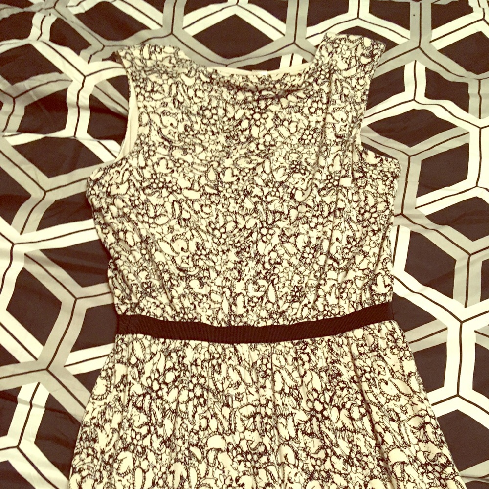 Cream and Black LOFT dress